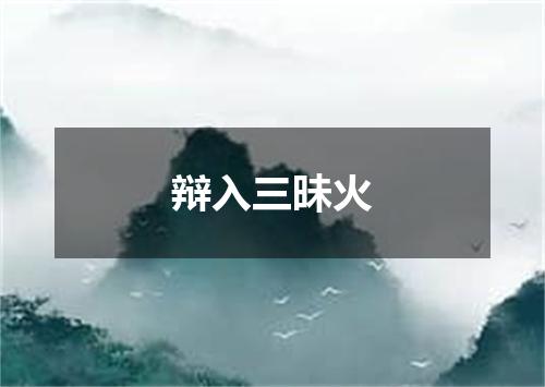 辩入三昧火