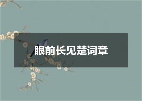 眼前长见楚词章
