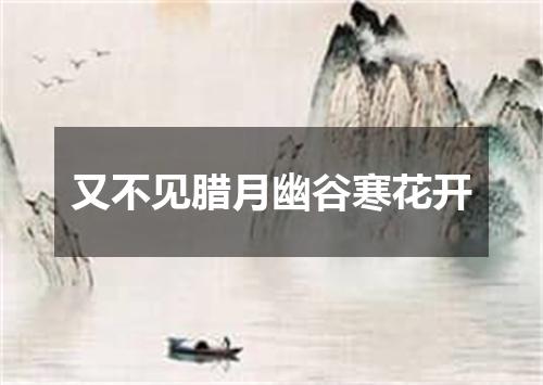 又不见腊月幽谷寒花开