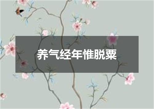 养气经年惟脱粟