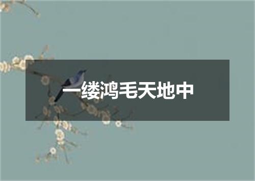 一缕鸿毛天地中