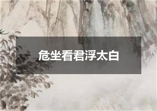 危坐看君浮太白