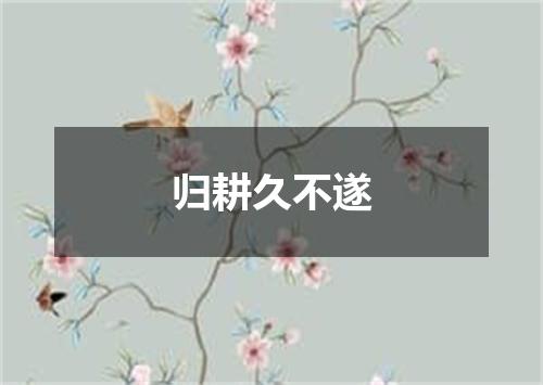 归耕久不遂