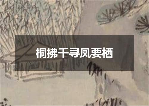 桐拂千寻凤要栖