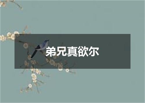 弟兄真欲尔