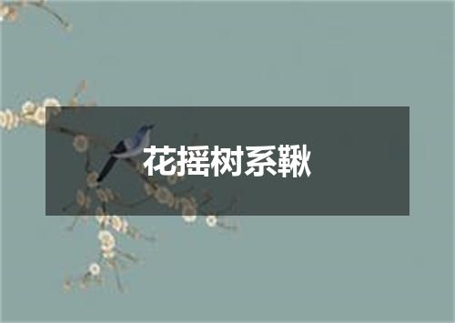 花摇树系鞦