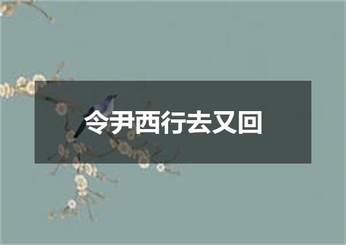 令尹西行去又回