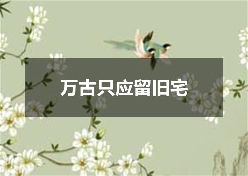 万古只应留旧宅