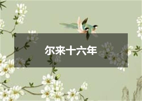 尔来十六年