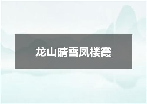 龙山晴雪凤楼霞