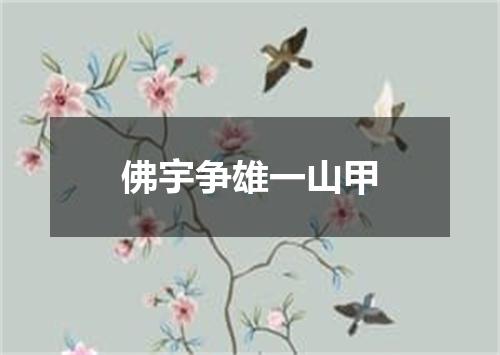 佛宇争雄一山甲