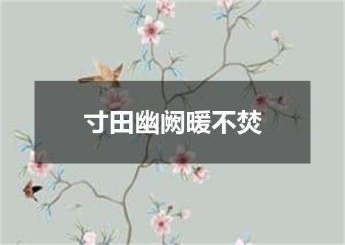 寸田幽阙暖不焚