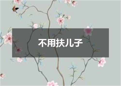不用扶儿子