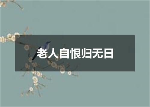 老人自恨归无日