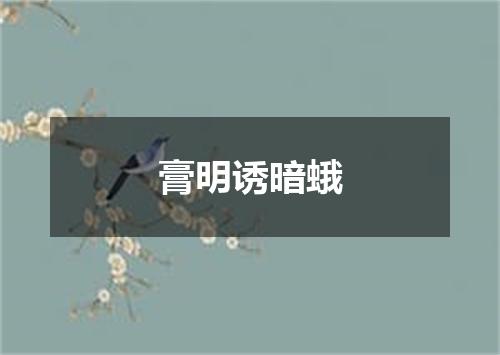 膏明诱暗蛾