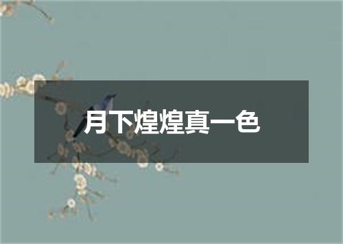 月下煌煌真一色