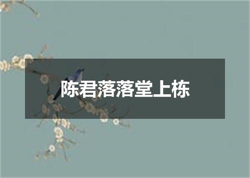 陈君落落堂上栋