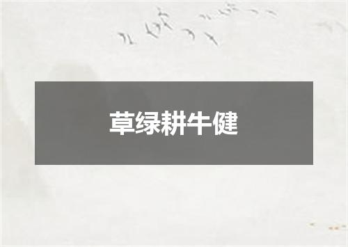 草绿耕牛健