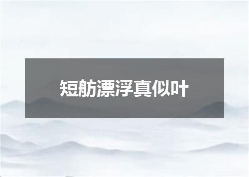 短舫漂浮真似叶