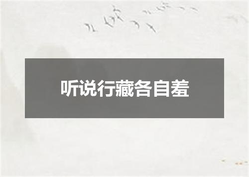 听说行藏各自羞