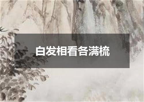 白发相看各满梳