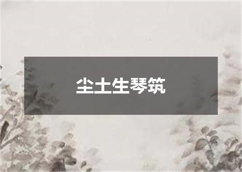 尘土生琴筑