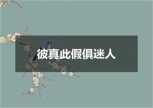 彼真此假俱迷人