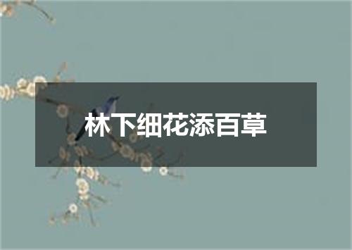 林下细花添百草