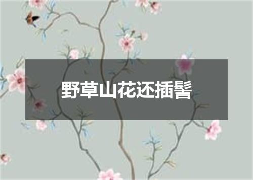 野草山花还插髻
