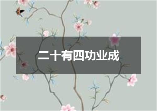 二十有四功业成