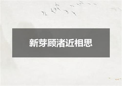 新芽顾渚近相思