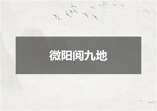 微阳阅九地