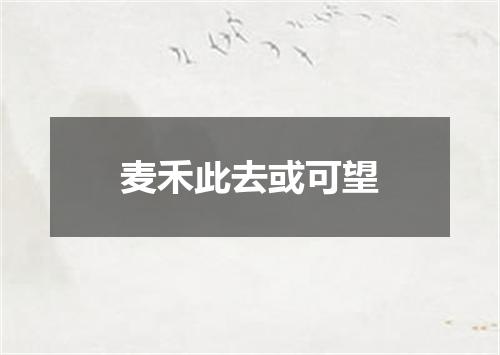 麦禾此去或可望