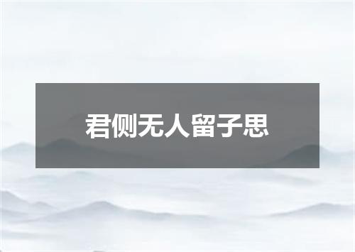 君侧无人留子思