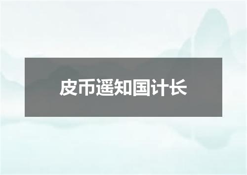 皮币遥知国计长