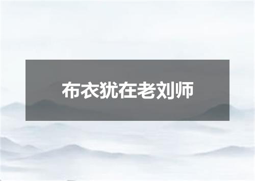 布衣犹在老刘师