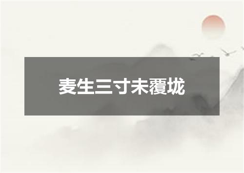 麦生三寸未覆垅