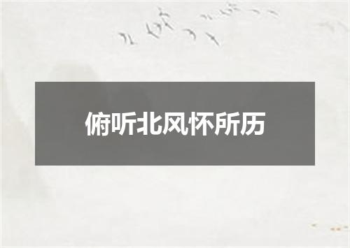 俯听北风怀所历