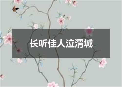 长听佳人泣渭城