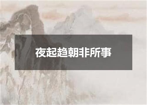 夜起趋朝非所事