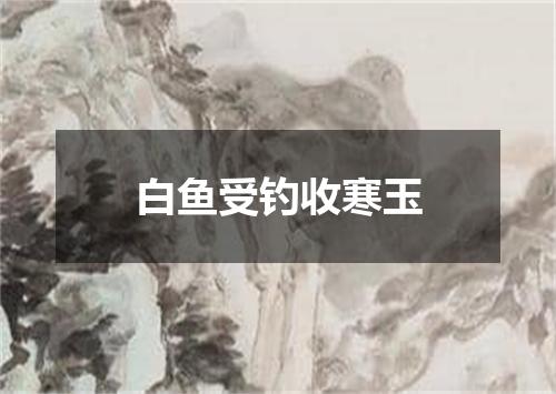白鱼受钓收寒玉
