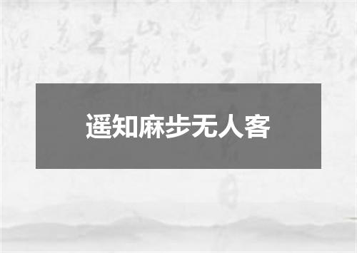 遥知麻步无人客