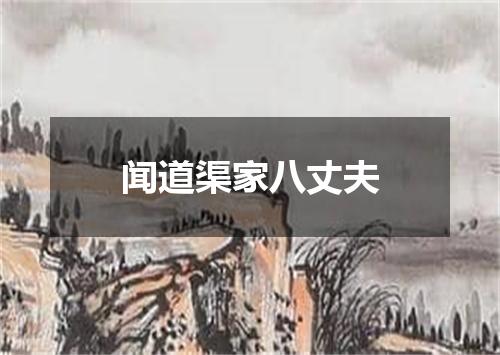 闻道渠家八丈夫