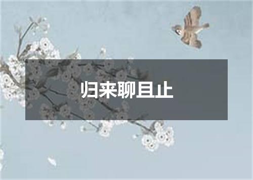归来聊且止