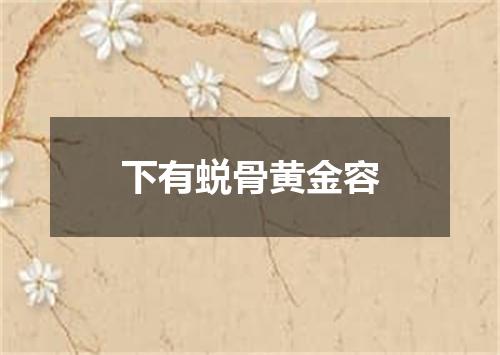 下有蜕骨黄金容