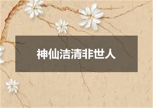 神仙洁清非世人