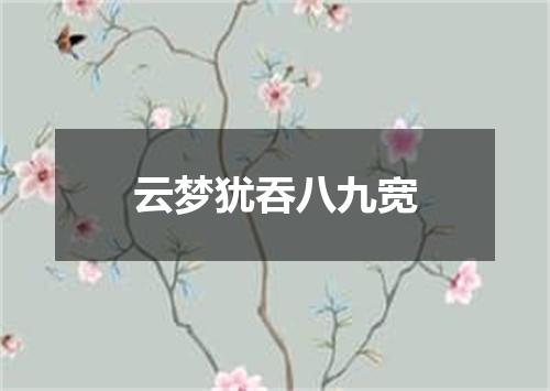 云梦犹吞八九宽