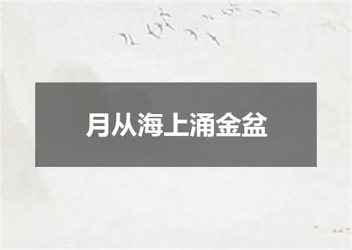 月从海上涌金盆