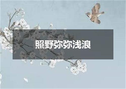 照野弥弥浅浪