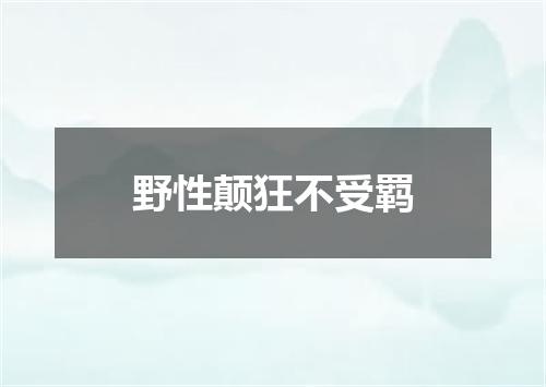 野性颠狂不受羁